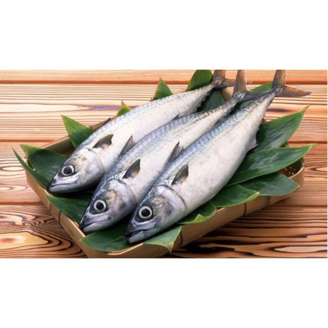 

IKAN TONGKOL SEGAR PEREKOR