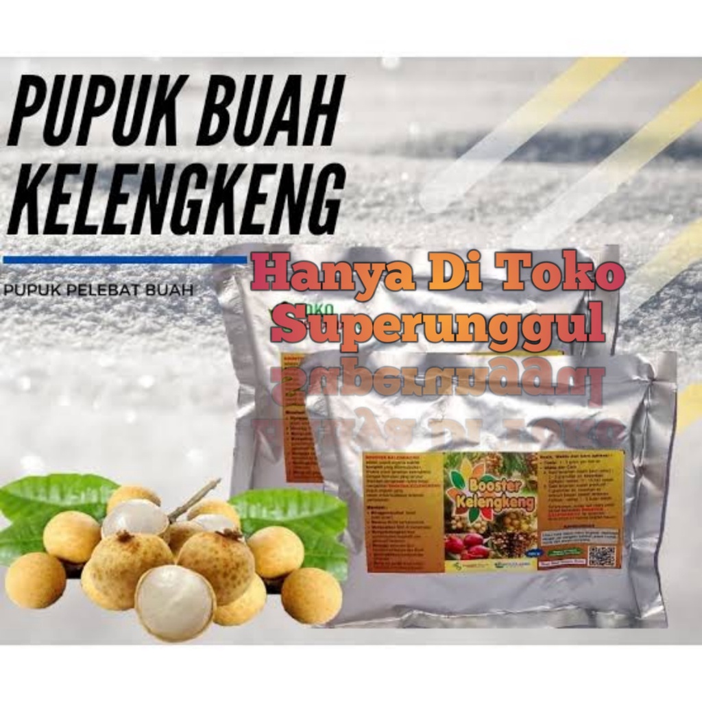 Booster pupuk bibit kelengkeng agar bisa cepat berbuah dan berbuah lebat