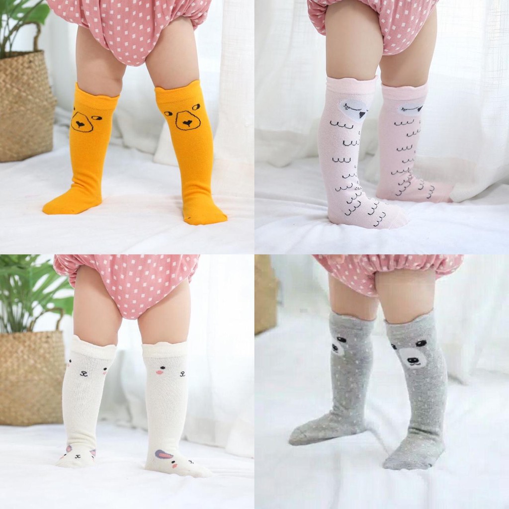  Kaos  kaki  bayi panjang motif kaos  kaki  anak panjang 
