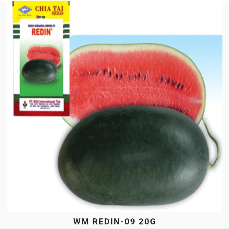 Semangka Redin 10gr