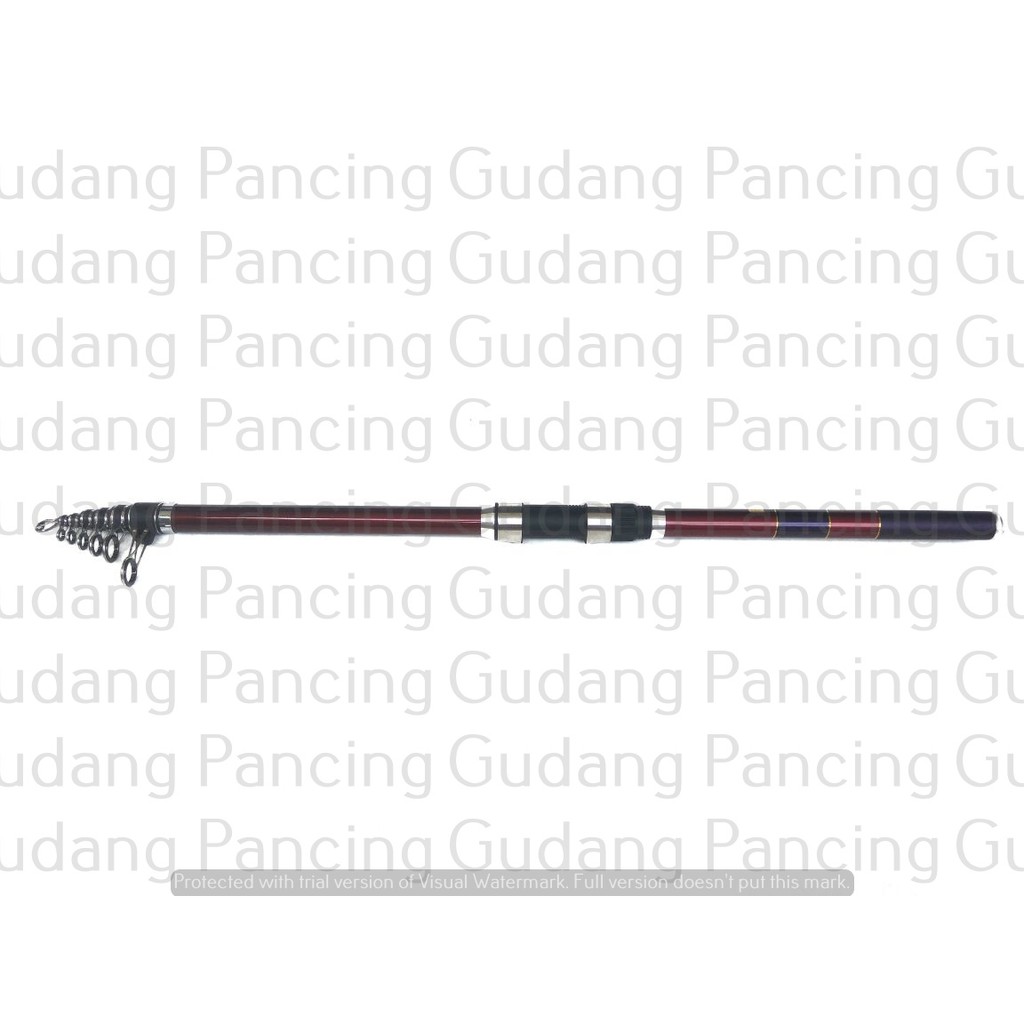 Rod Daido Sea Gull Surf 450