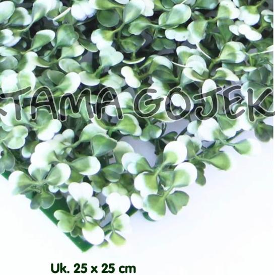 ✰ Rumput Sintetis/Rumput Tempel/Rumput Dinding/Rumput Plastik TAKA ♥