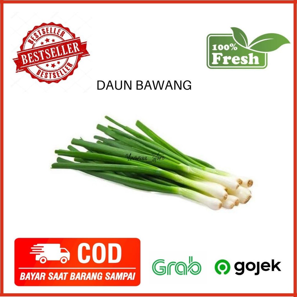 

Daun Bawang Bumbu Dapur Sayuran Segar Sayur Murah Sayur Fresh 100 Gram