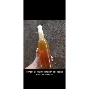 

madu tawon asli