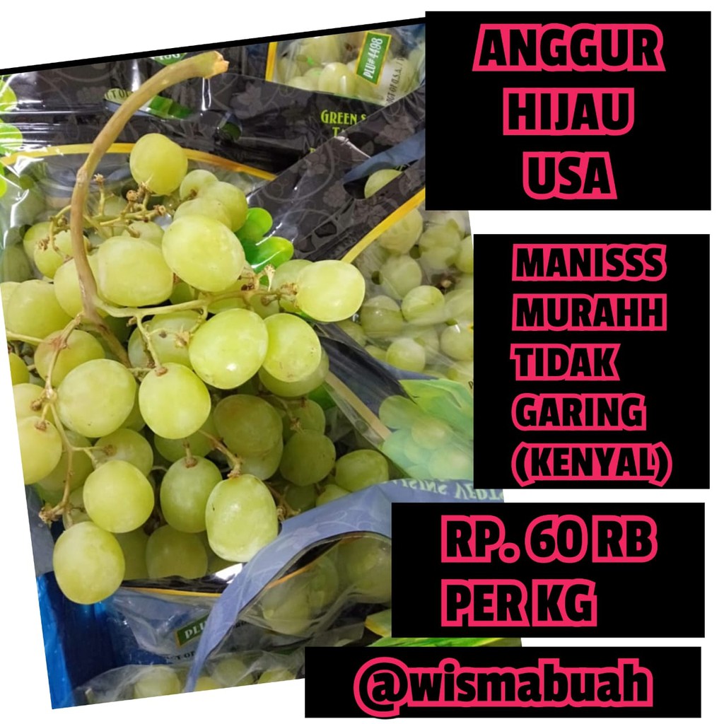 

Buah Anggur Hijau USA