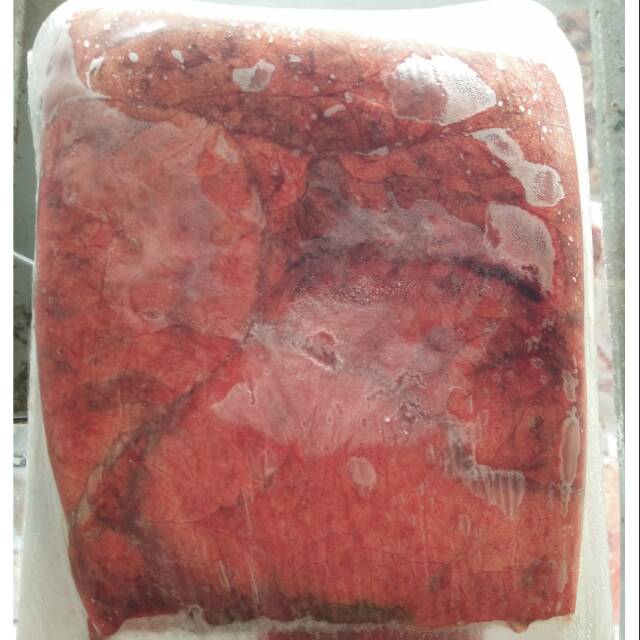 

Paru Sapi Lokal Frozen & Fresh 500 gram sd.1 Kg (B.11)