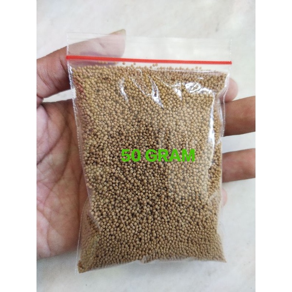 PELET IKAN HIAS CUPANG GUPY MOLLY PLATY DAN IKAN HIAS KECIL LAINNYA/PAKAN IKAN HIAS/PUR IKAN/PAKAN A