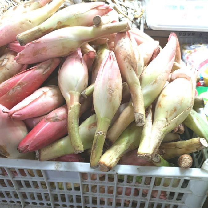 

Big Sale Kecombrang/bunga rias 1kg Diskon