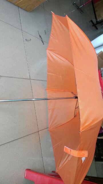 Payung Standar Dewasa Souvenir Warna Warni Grosir Murah Payung Warna Polos Perlengkapan Rumah Tangga