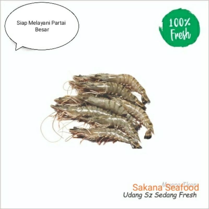 

Udang Windu Sedang Fresh 1kg