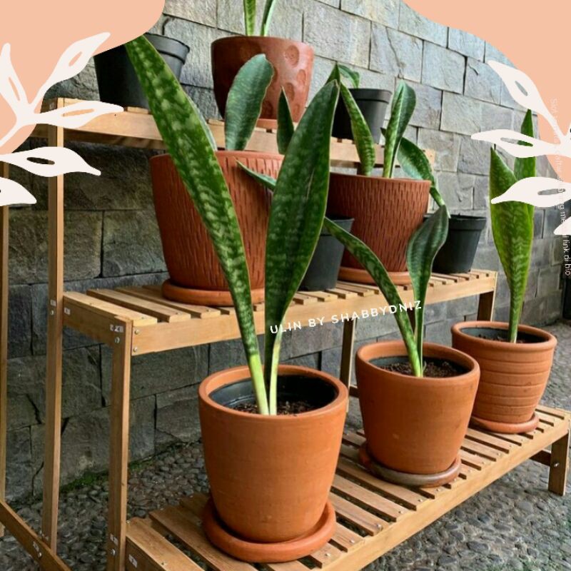 BEST SELLER RAK KAYU ULIN