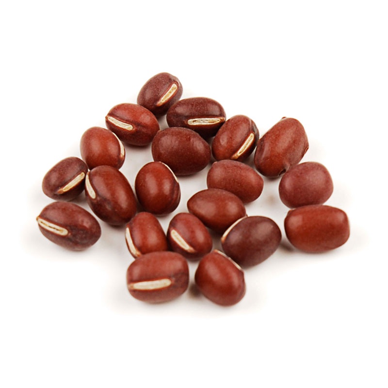 

kacang merah adzuki
