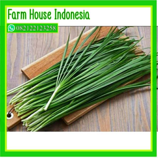 

Perfect Vegetables sayur segar daun kucai per ikat