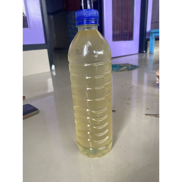 

MINYAK KELAPA MURNI