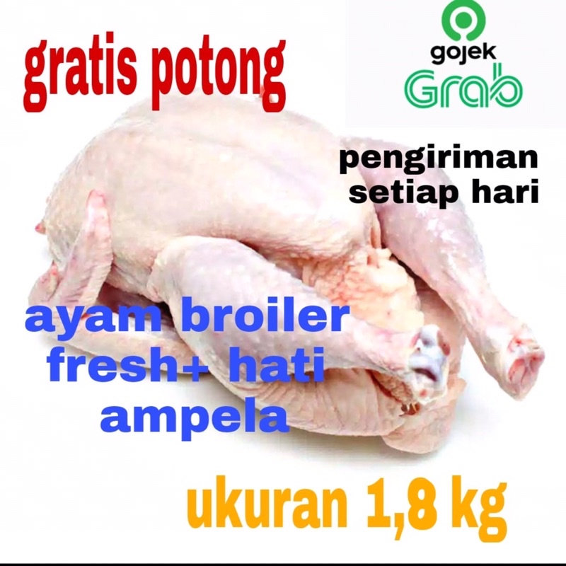 

ayam potong/ayam segar/ayam broiler