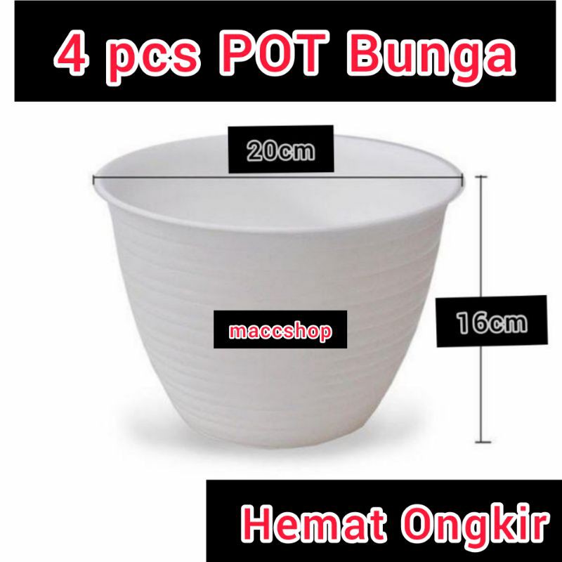 4 PCS POT BUNGA 20CM Tanaman Pirus Tawon Madu