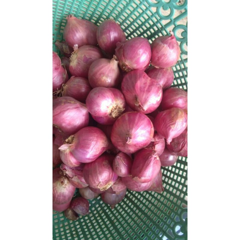 

Bawang Merah Brebes 1/2 kg