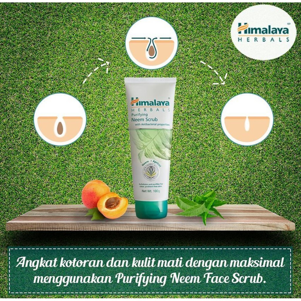 Himalaya Purifying Neem Scrub