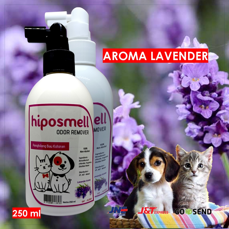 Penghilang Bau Kotoran Pipis Kucing Anjing ODOR REMOVER Parfum Plus Disinfectant Wangi dan Sehat