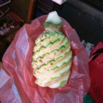 

Nanas Muda Fresh Per Buah