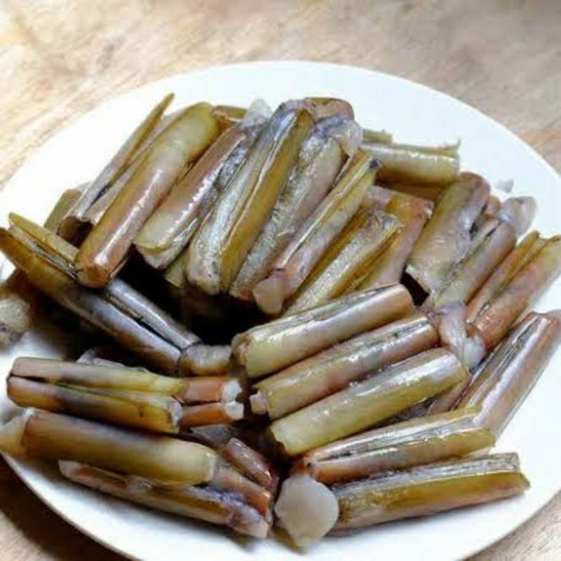 

kerang bambu jumbo