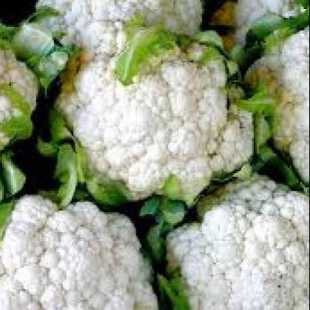 

Kembang Kol Paling Murah 500 gram