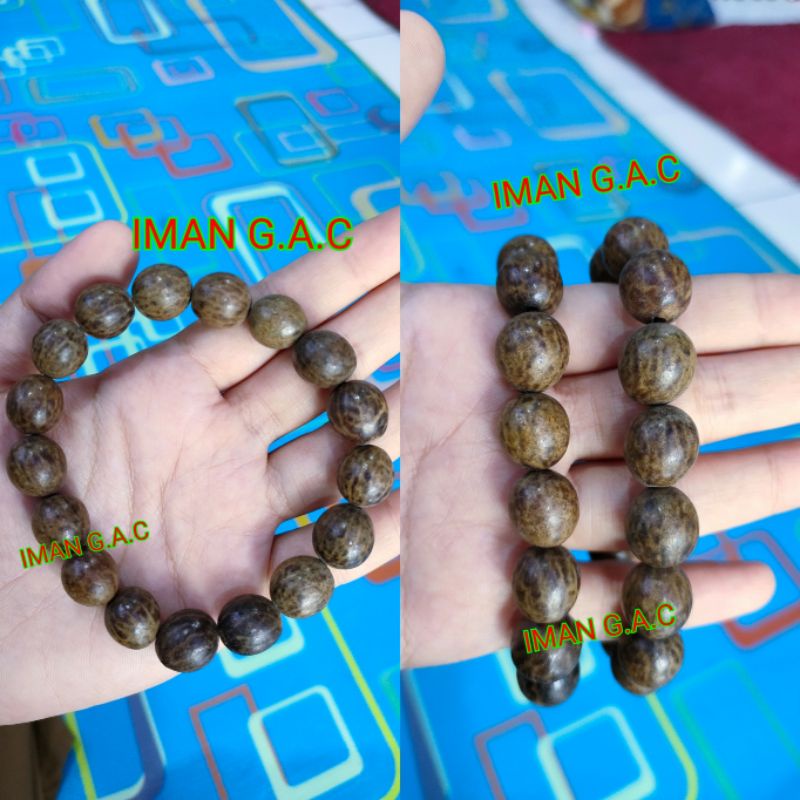 gelang biji gebang berserat