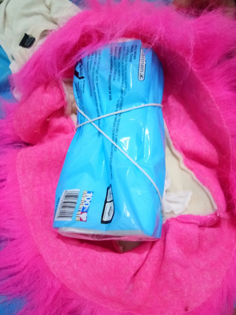 Tempat Tissue Motif Kucing