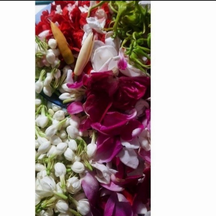 Dimensi- Kembang 7 Rupa, Ziarah,Telon, Dan Kera Macan - Macan Kera