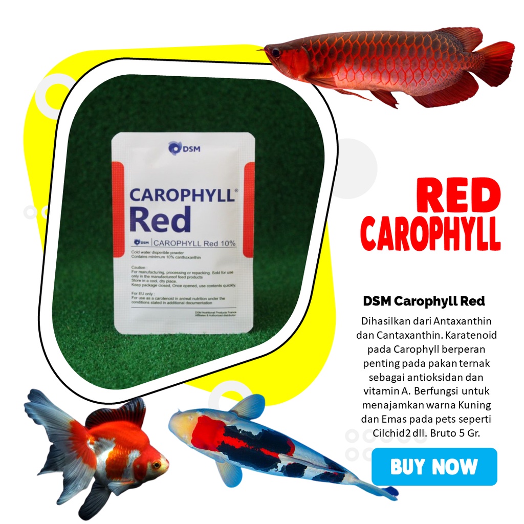 DSM Carophyll Red 10 Persen Original Repack 5 Gr Gram 5Gr 5Gram