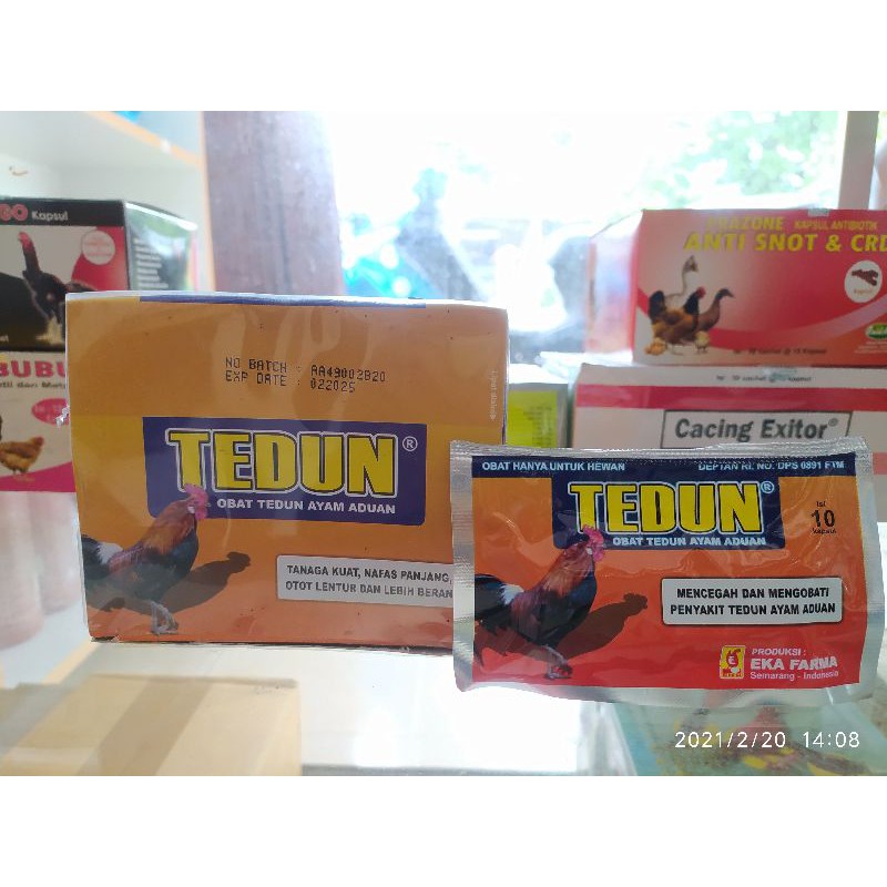 TEDUN OBAT AYAM