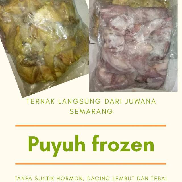 Daging burung puyuh frozen