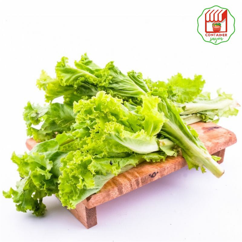 

ContainerSayur Sayuran Selada 250gr