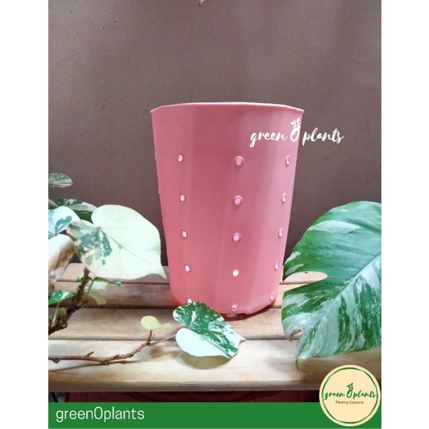 Pot HJP Twister Merah Muda Berlubang