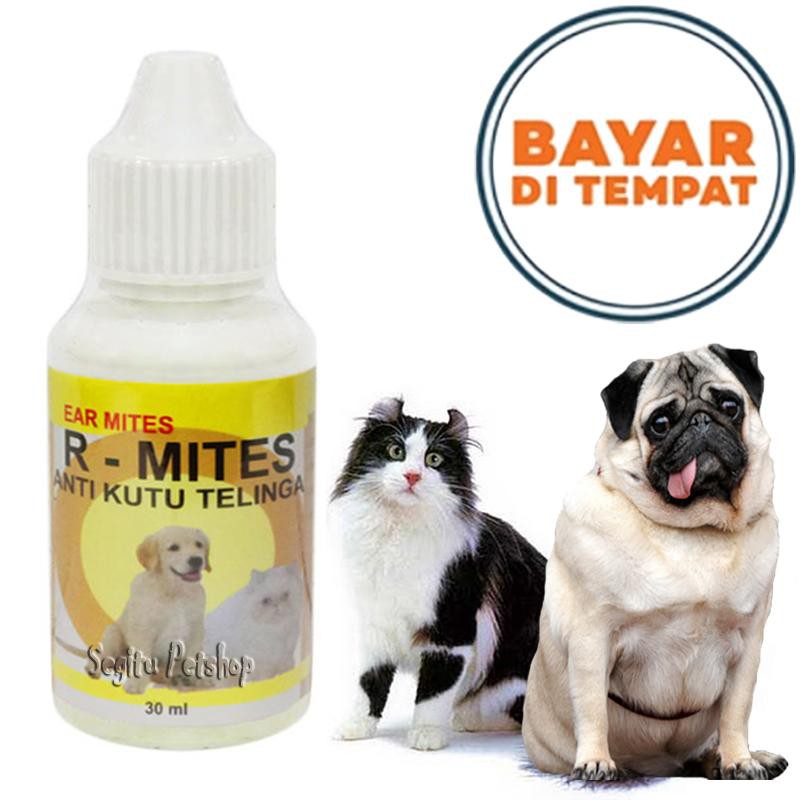 OBAT KUTU TELINGA KUCING R MITES KUCING SAKIT TELINGA BENGKAK BERAIR