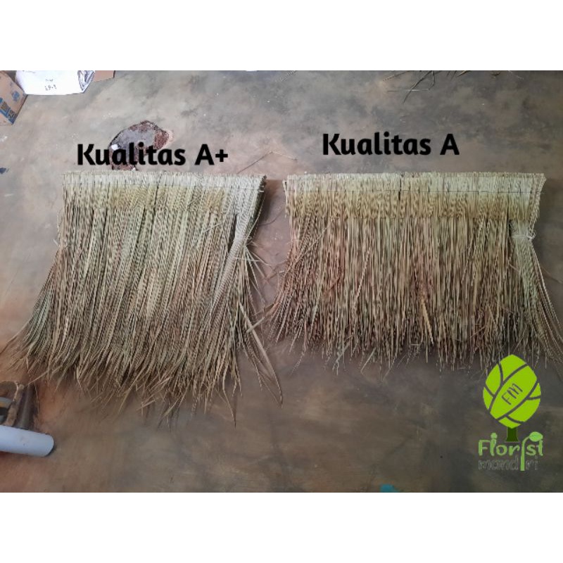 atap ilalang / atap alang-alang