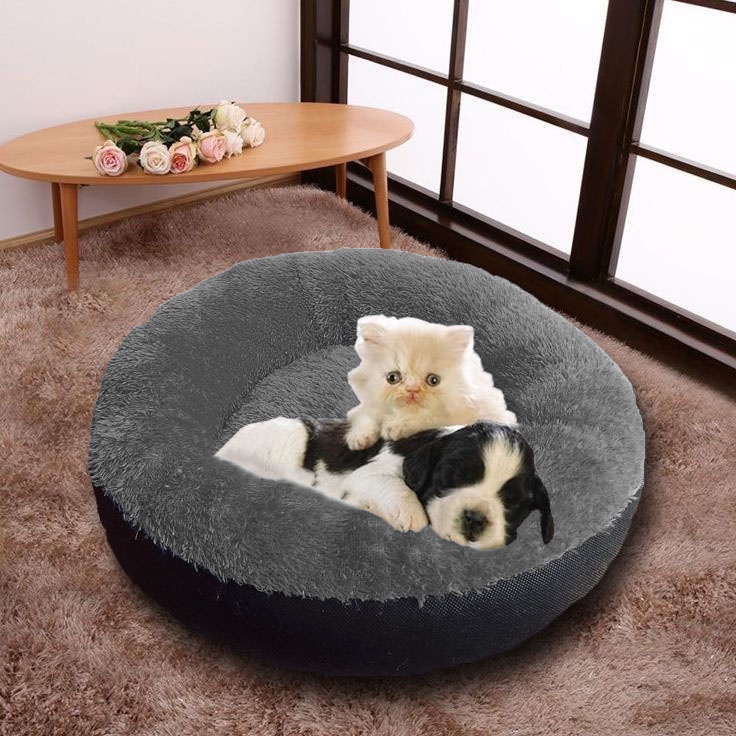 New Kasur Kucing Bulu Bulat/Rumah Kucing Bulat/Cat Bed/Tempat Tidur Kucing/Alas Tidur Kucing/Ranjang Kucing Murah/Perlengkapan Kucing Dan Hewan/Bantal Kucing/Kandang Murah/Tempat Tidur Dan Matras Hewan/Kasur Kucing Bulu Besar/Tempat Tidur Kucing Besar