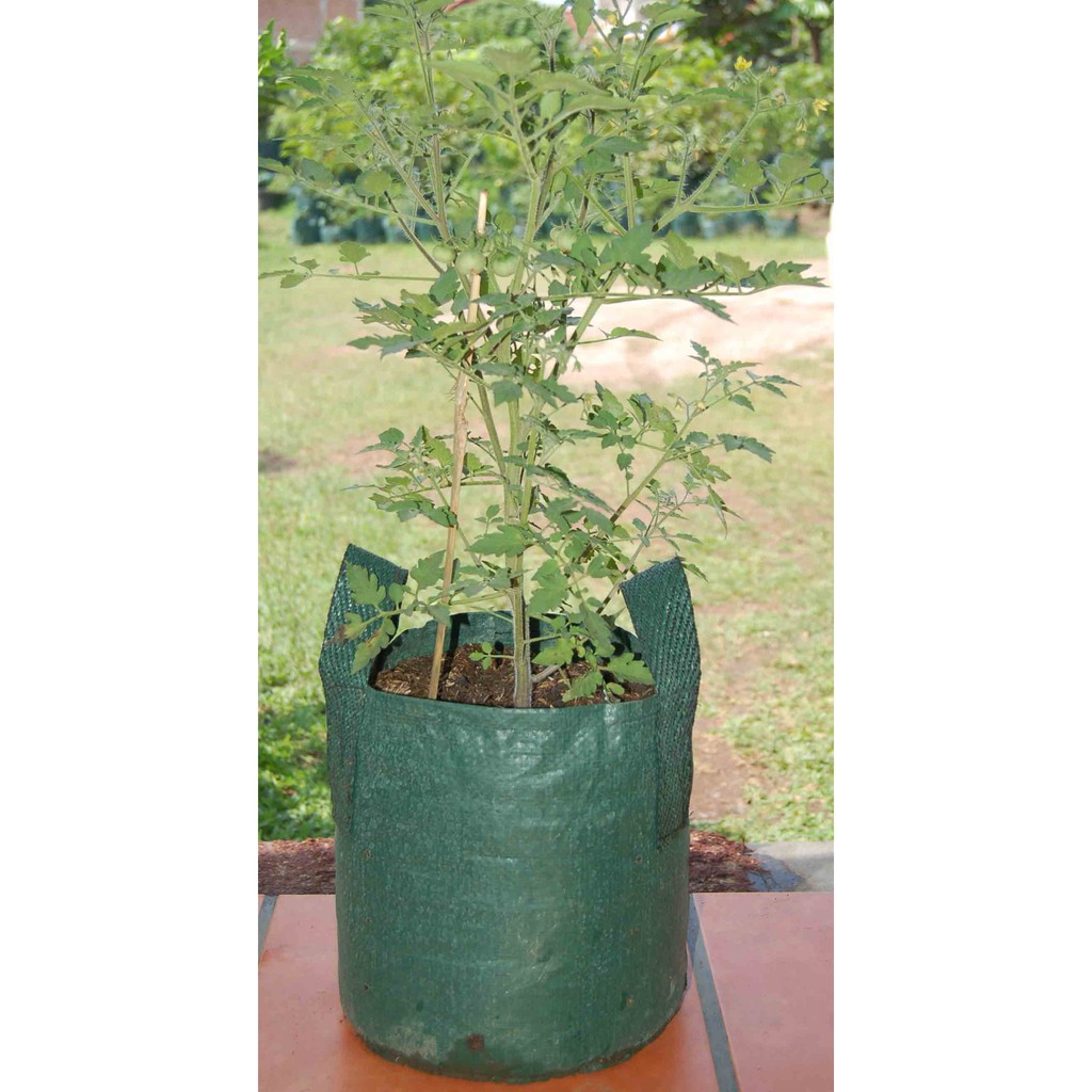 Terlaris Planter Bag 15 Liter Grosir