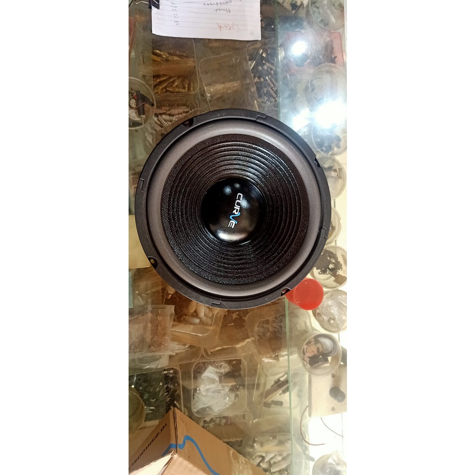 Speaker 10 Inch Curve Woofer 300 Watt - Speaker Curve 10" Woofer 300W SPK MURAH BERKUALITAS ORIGINAL