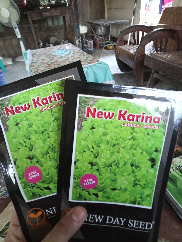 Benih New Day Seed Selada Karina