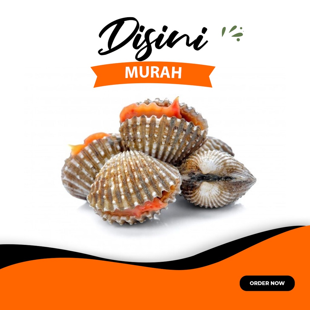 

kerang dara per 500gr