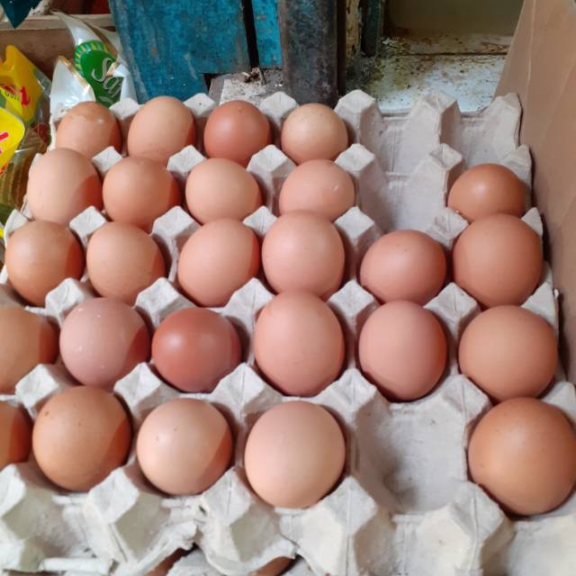 

TELOR AYAM NEGRI PER 1 KG TELUR SEGAR TERLARIS TERMURAH PROMO BIG SALE TOKOGROSIRUYUN