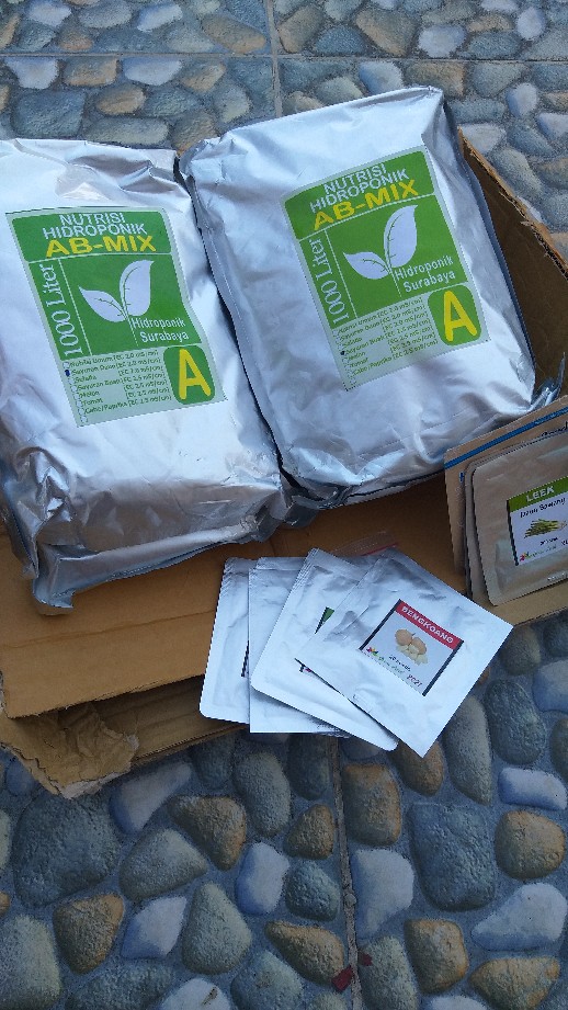 Benih Biji Selada Hijau Chris Green Pack - 300 Biji - Gp