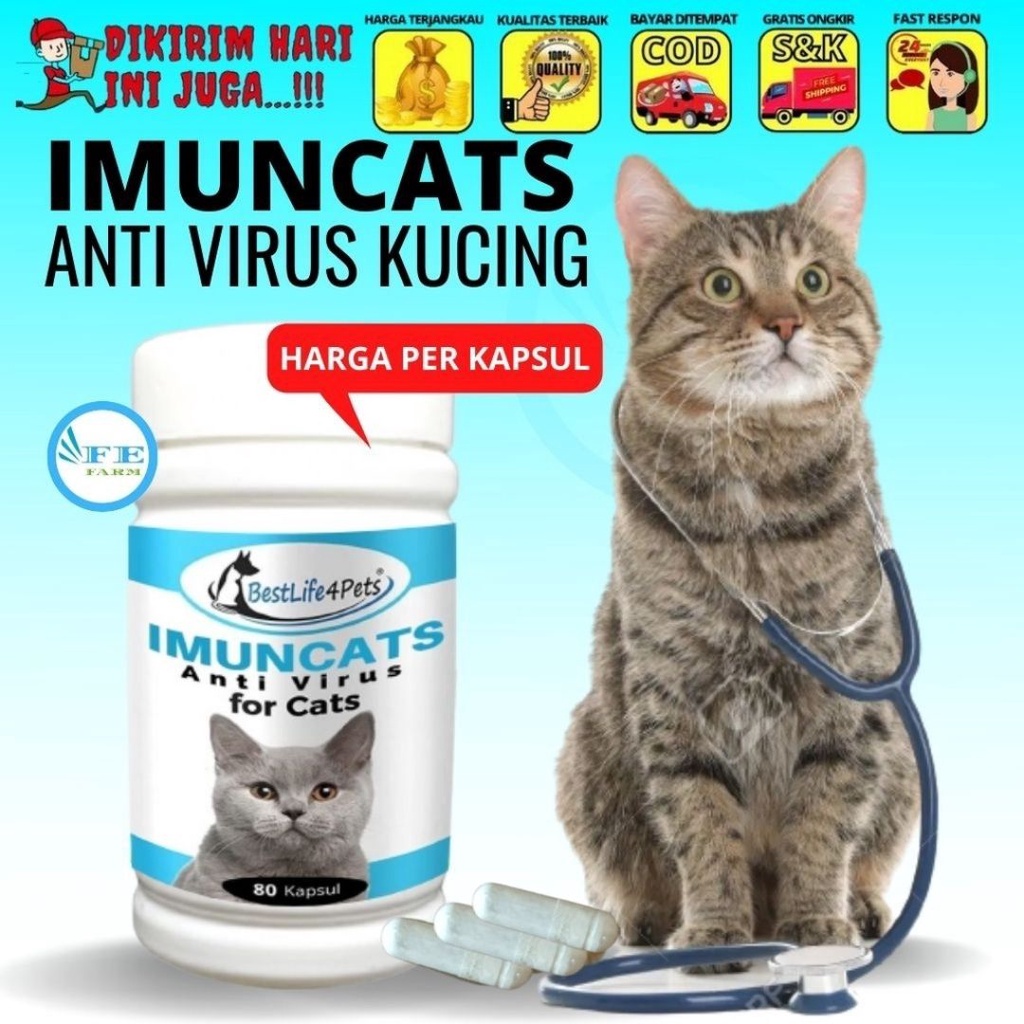 Imun Booster Anti Virus Kucing Trnsfer Factor Capsule FEFFAARM