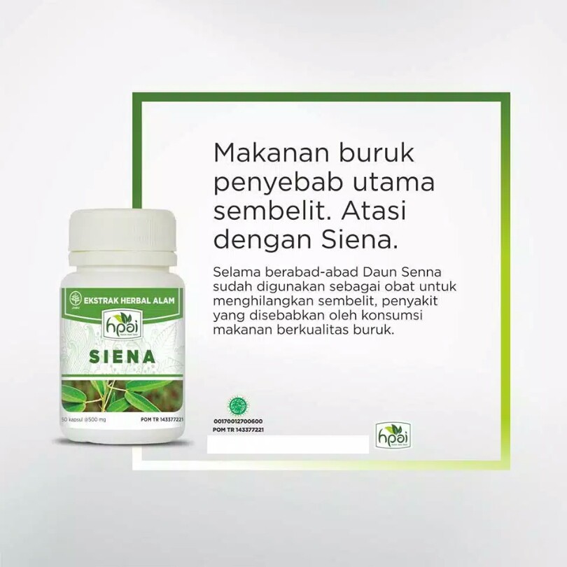 Siena jati cina 100% Asli obat herbal alami melangsingkan tubuh, sembelit dll