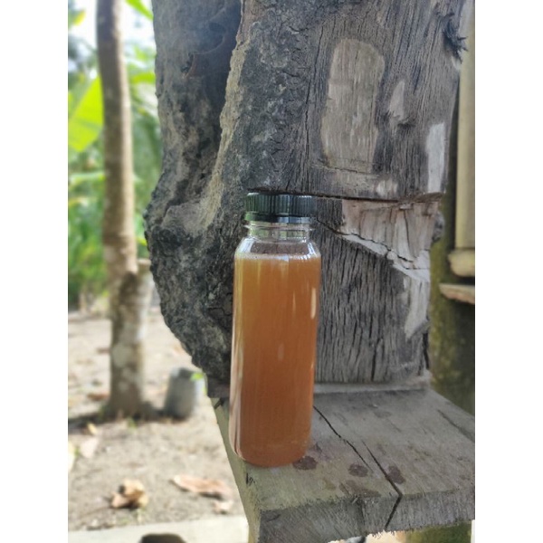 

Madu kelulut itama 250ml