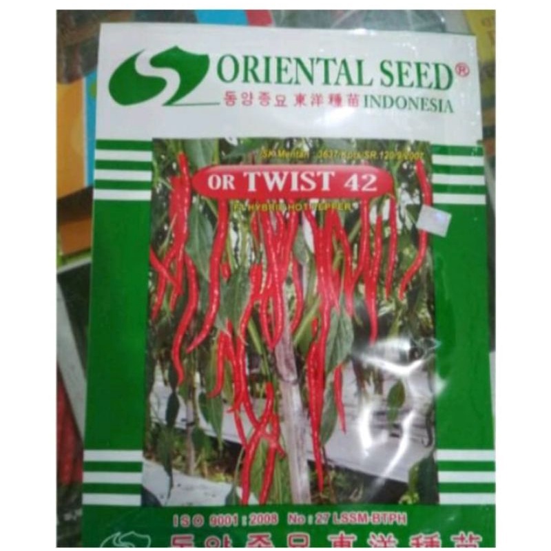 Benih Cabe kriting OR TWIST 42 F1 | dari Oriental seed ASLI