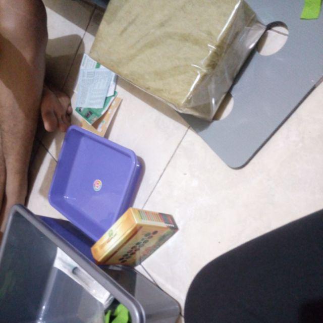 Paket Starter Kit Hidroponik 3 Set Slab Komplit (nampan + Spuit) Murah