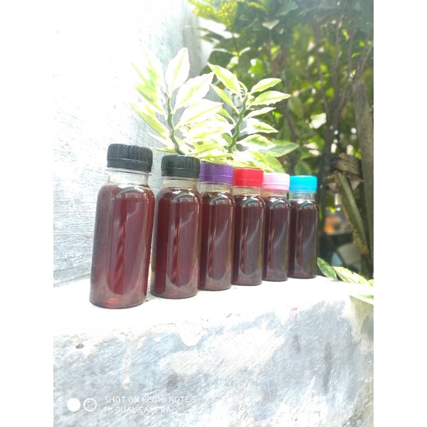 

madu murni lereng gunung penanggungan @100ml