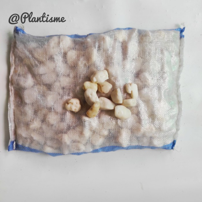 1Karung - Batu Hias Pot Taman Aquarium Kolam - White Marmer